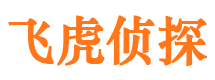 西塞山侦探